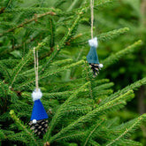 Čiekurs egles dēls